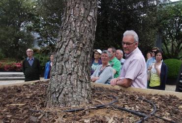 fietstocht, bedrijfsbezoek 'Cools' en barbecue